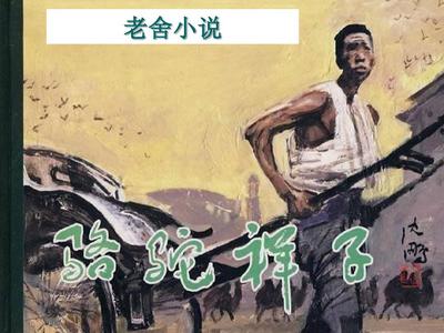 狐狸视频跳转官网
